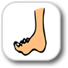 ���b�X���v����: Measuring Parts of the Body