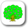 ���b�X���v����: Seasons