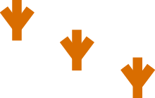 �uMusical Turkeys�v������